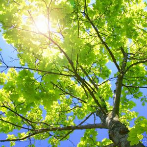 久久综合九色综合88中文字幕有码
