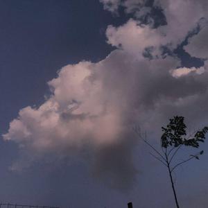 久久综合九色综合88中文字幕有码
